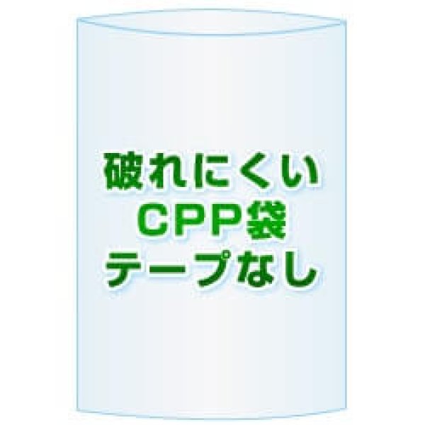 画像1: CPP(シーピーピー)袋(フタなし)【#30 40x80 1,000枚】[空気穴加工あり] (1)