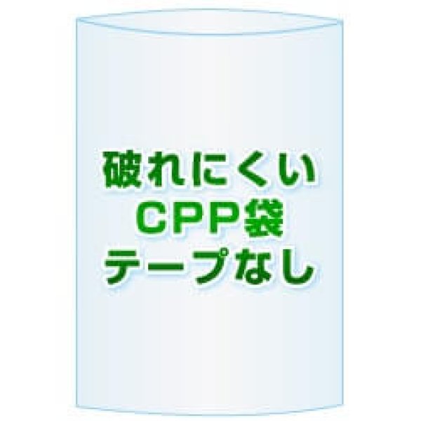 画像1: CPP(シーピーピー)袋(フタなし)【#30 109x210 1,000枚】 (1)