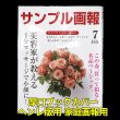 画像1: 透明ブックカバー 家庭画報用 厚口#40 【100枚】 (1)