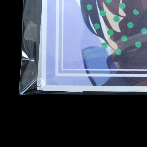 画像5: ブック展示用袋 (OPP袋テープ付) B5版同人誌用 標準#30 (5)