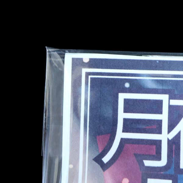 画像6: ブック展示用袋 (OPP袋テープ付) B5版同人誌用 標準#30 (6)