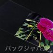 画像2: OPP袋テープなし ポストカード用 標準#30 (2)