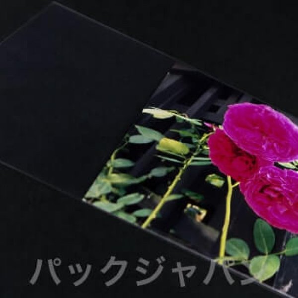 画像2: OPP袋テープなし ポストカード用 標準#30 (2)