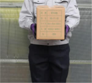 ケース前向き