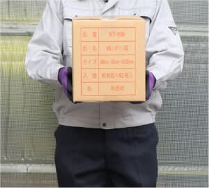 ケース前向き