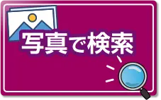 写真で検索